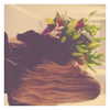 gigihadid Altpins Profile Picture