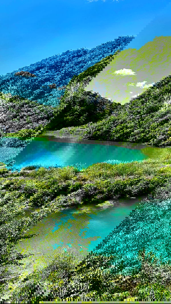 taylor.creeden taylor.creeden archive image