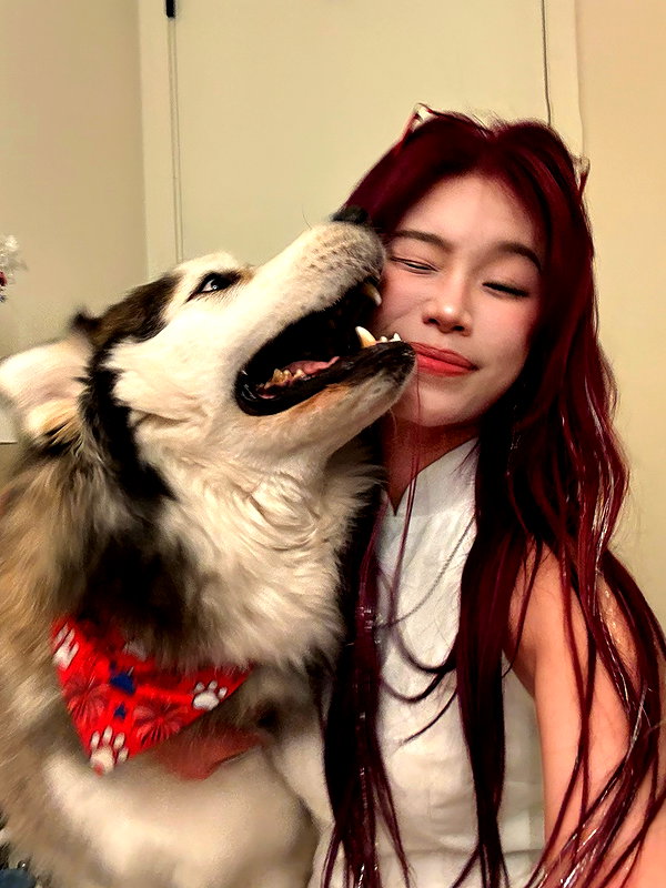 shulunc instagram image archive image