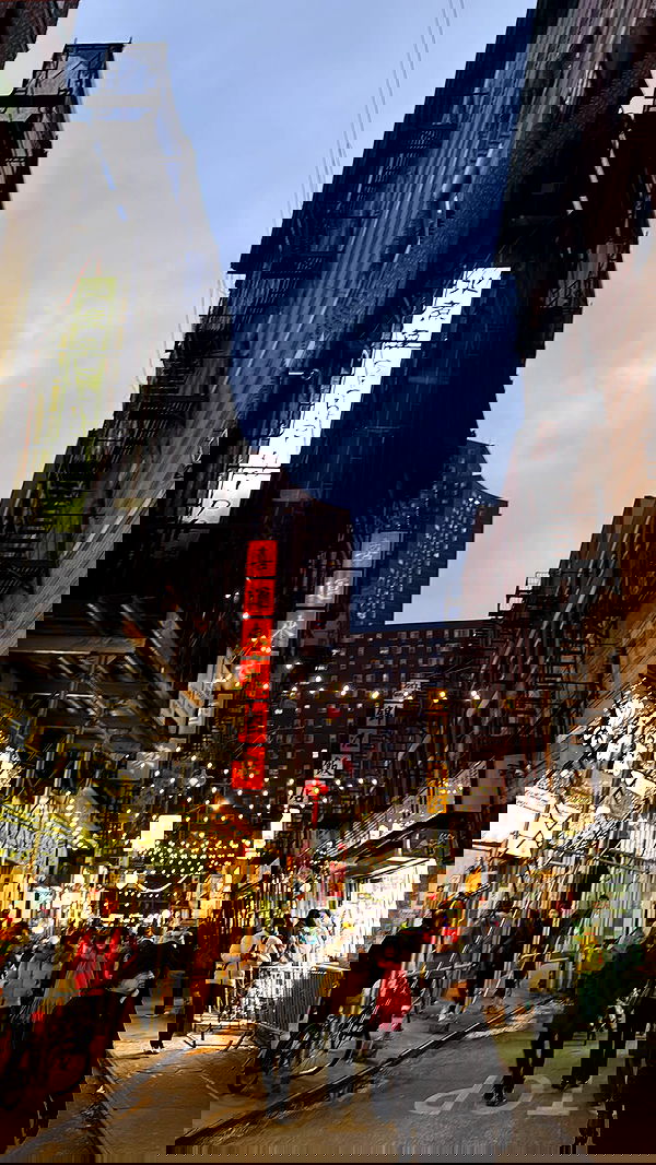 biton__adi biton__adi archive image