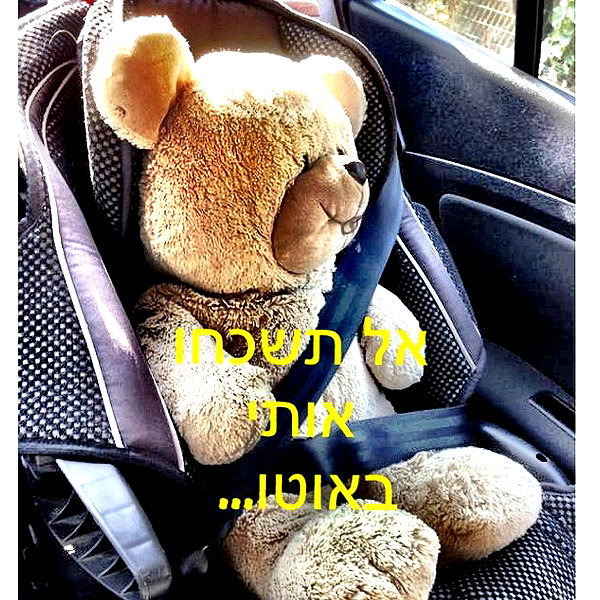 adihimelbloy instagram image archive image