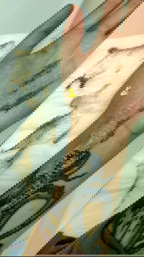 1justsabi 1justsabi archive image