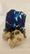 rose_xanne Altpins Profile Picture