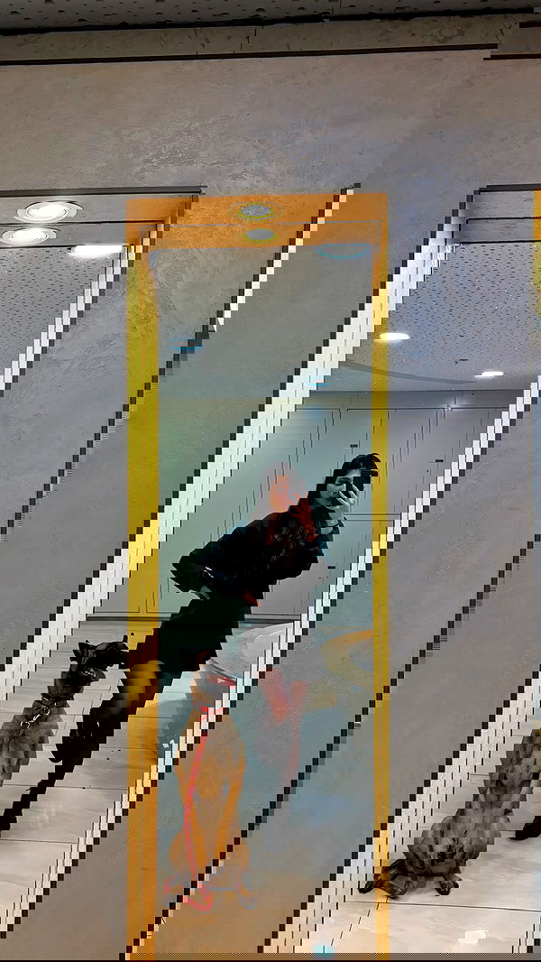 g.a.l.1.a g.a.l.1.a archive image