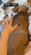 dante_yangpa Altpins Profile Picture