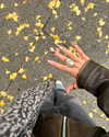 isavramirez Altpins Profile Picture