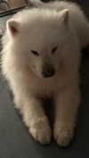 alien.hanna Altpins Profile Picture
