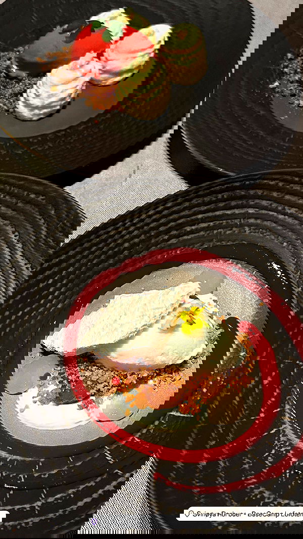 taylor.creeden taylor.creeden archive image