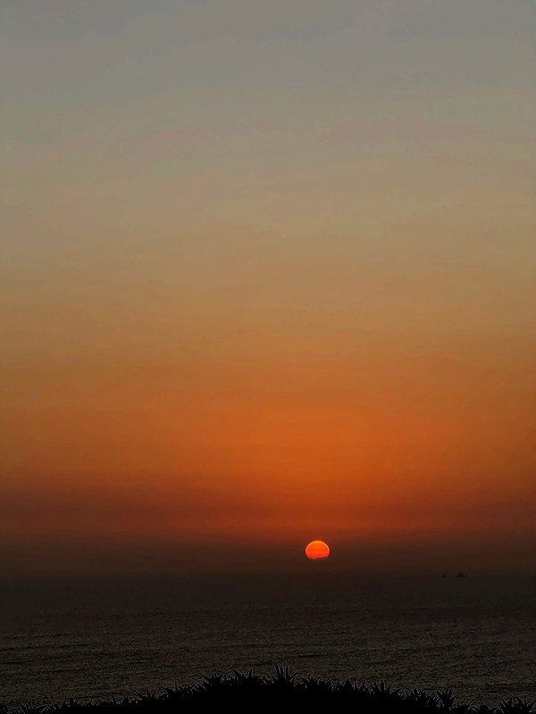 solzarubin_ instagram image archive image