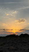 pol_cherie Altpins Profile Picture