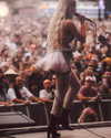 cannonstheband Altpins Profile Picture