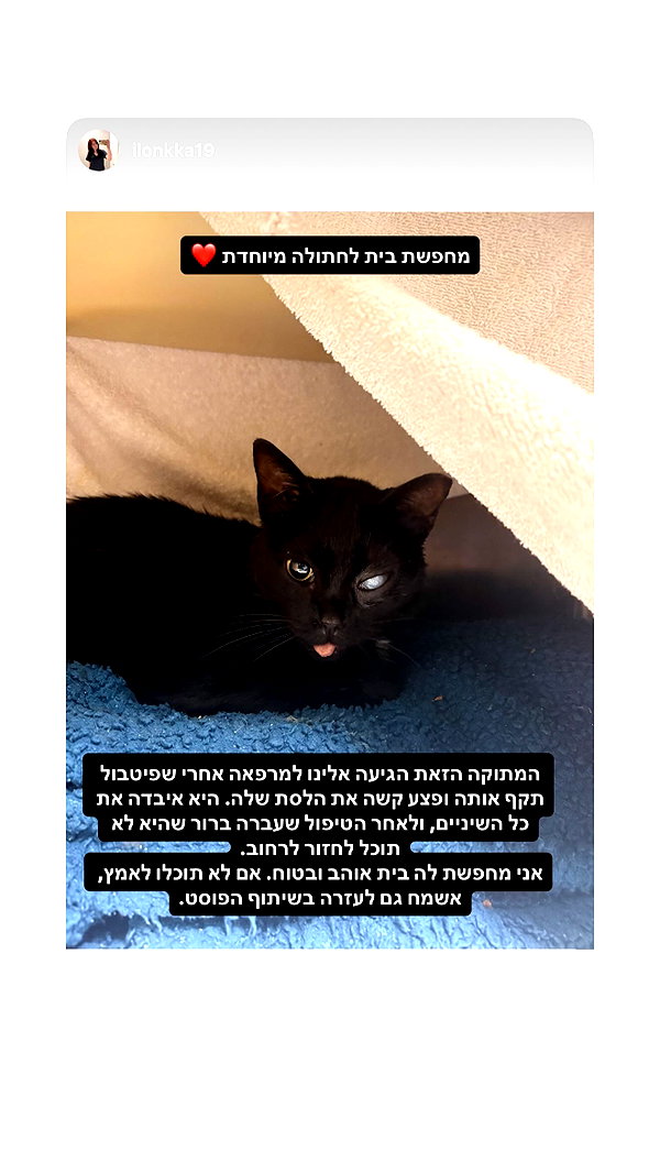 daria.lesin instagram image archive image