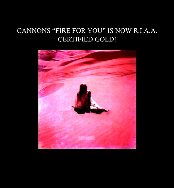 cannonstheband instagram image archive image