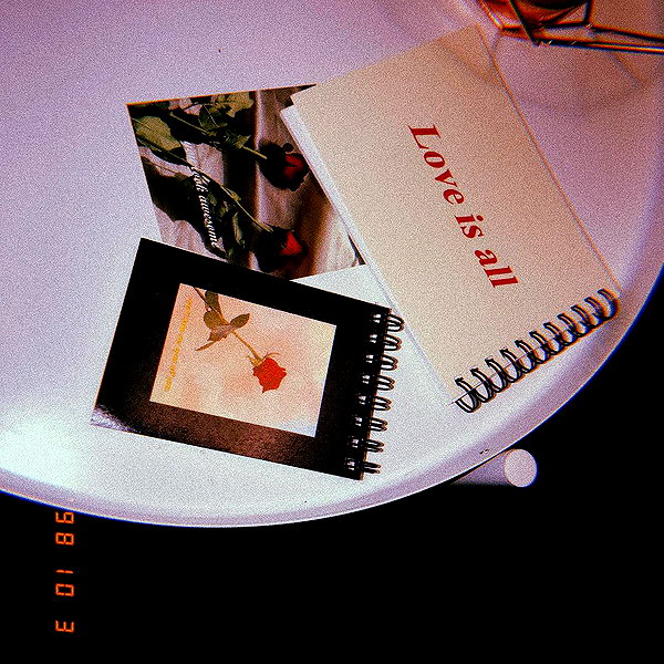 daxbin instagram image archive image