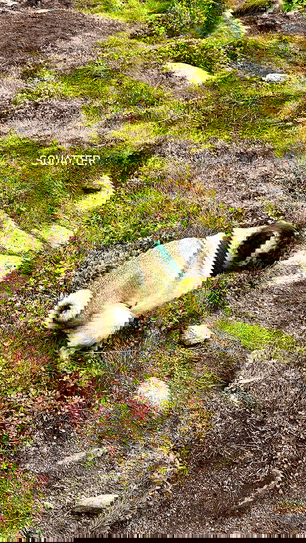 taylor.creeden taylor.creeden archive image