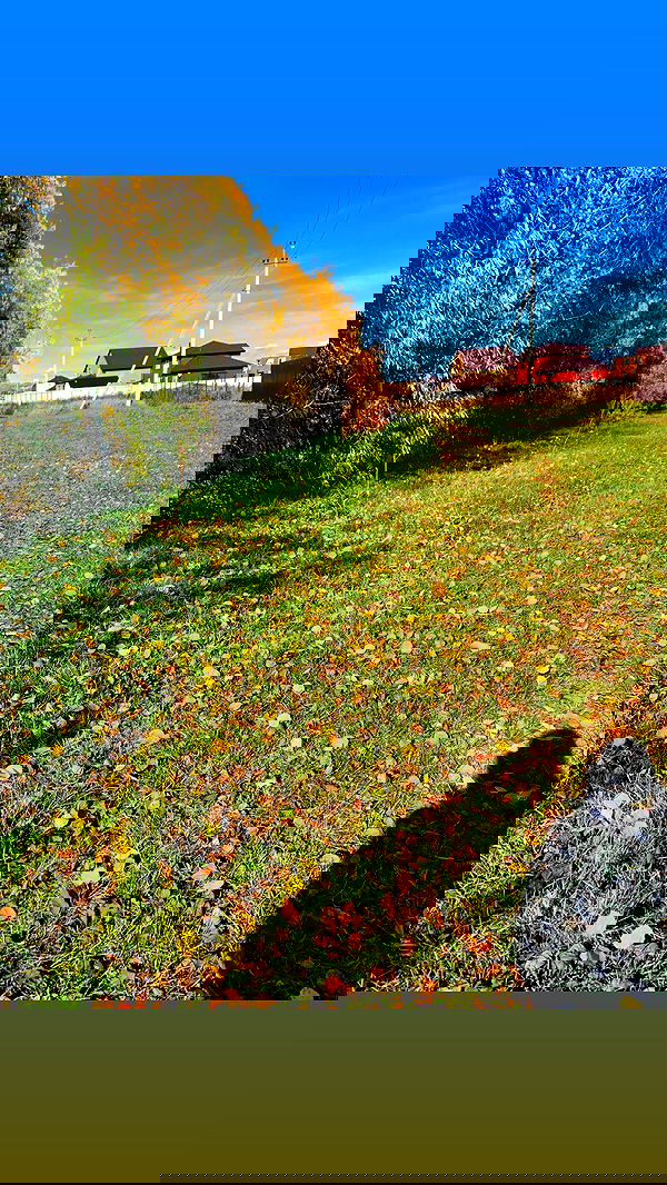 nyityam nyityam archive image