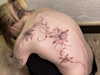 mortimertats Altpins Profile Picture