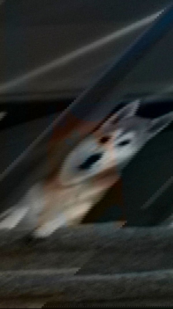 zommmbri zommmbri archive image