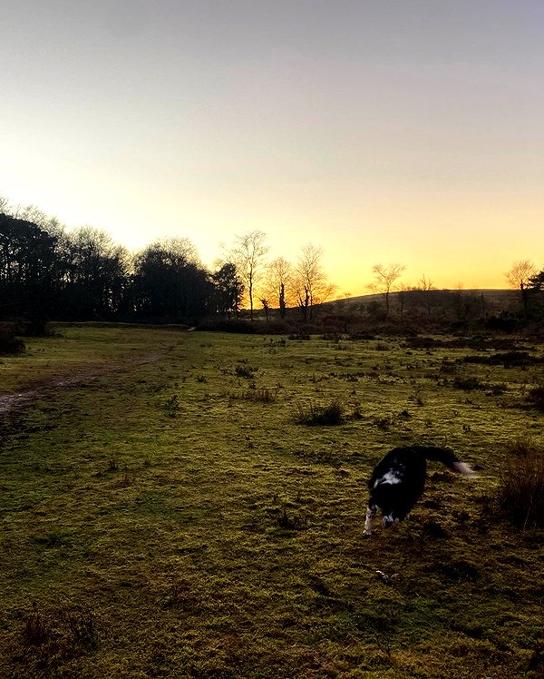 charley.chambers instagram image archive image