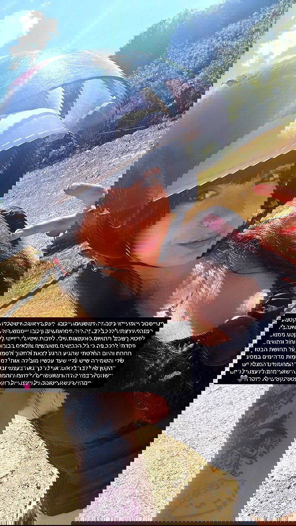 yam_adler yam_adler archive image