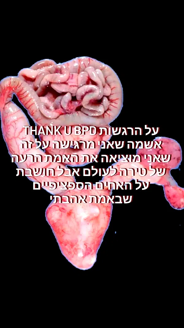 moonyyyya moonyyyya archive image