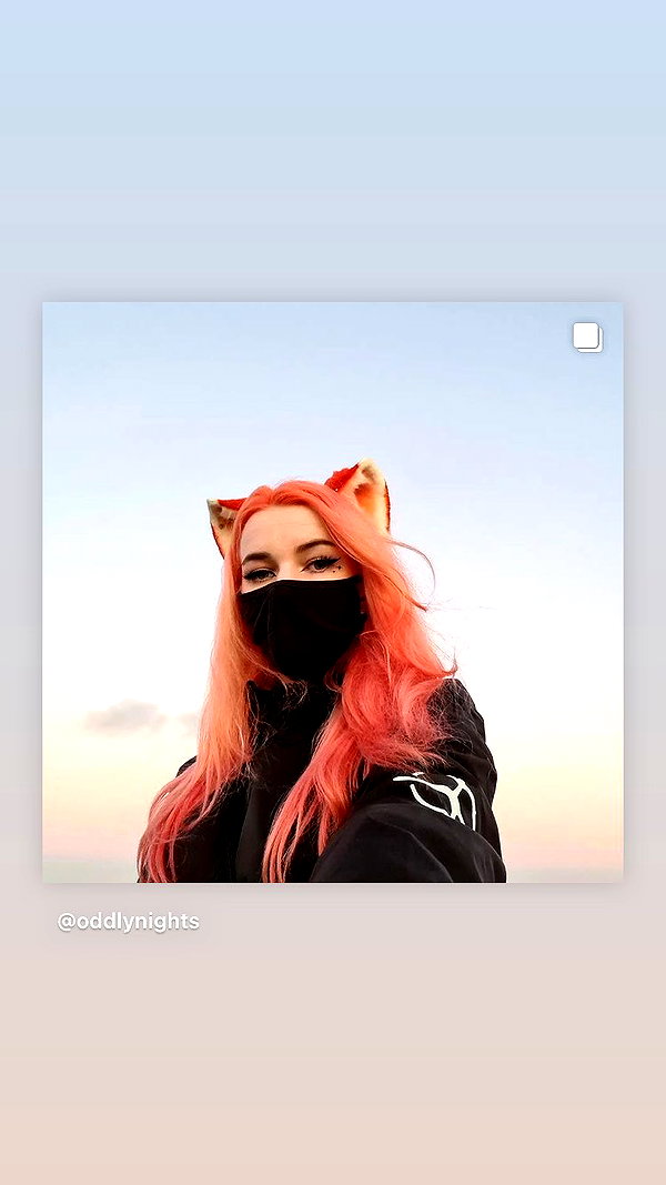 blursed.co instagram image archive image