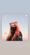 blursed.co Altpins Profile Picture