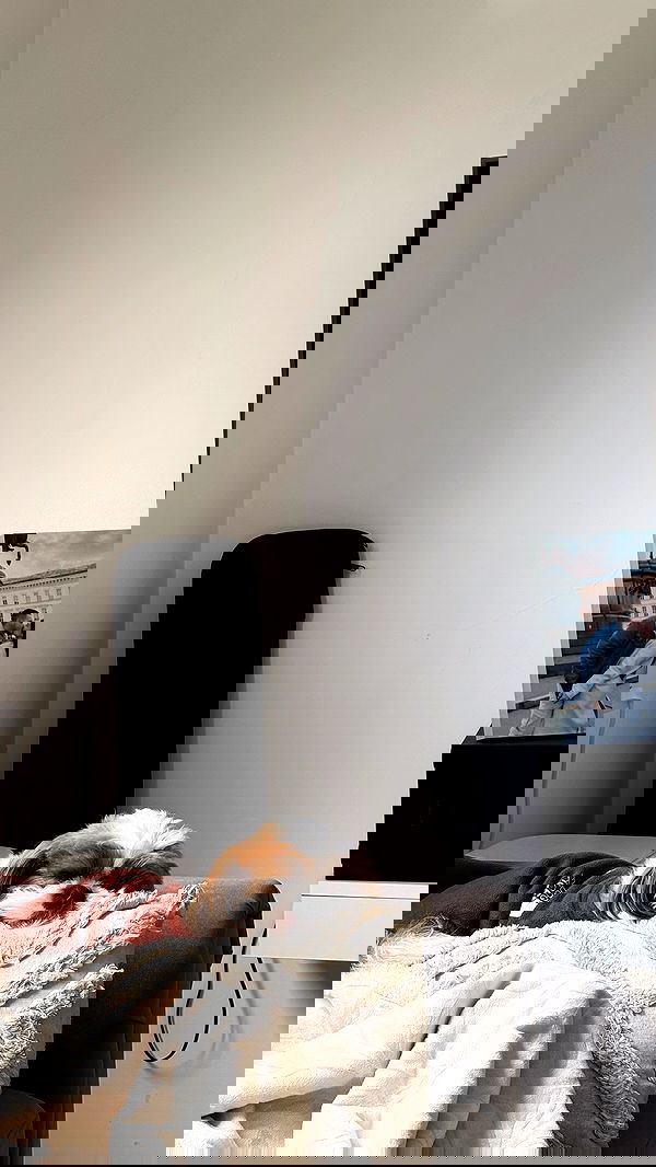 noammalka___ noammalka___ archive image