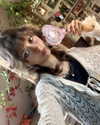f4iryybl00d Altpins Profile Picture