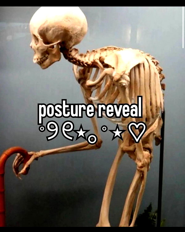 leanbeefpatty instagram image archive image