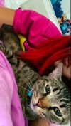 shanidahan7 Altpins Profile Picture