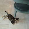solveyyyy Altpins Profile Picture
