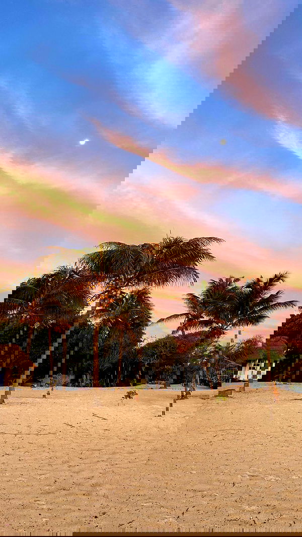 manjolamuriqi manjolamuriqi archive image