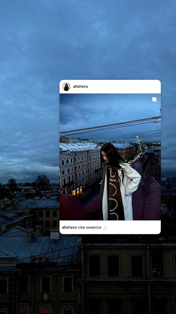 alishevs instagram image archive image