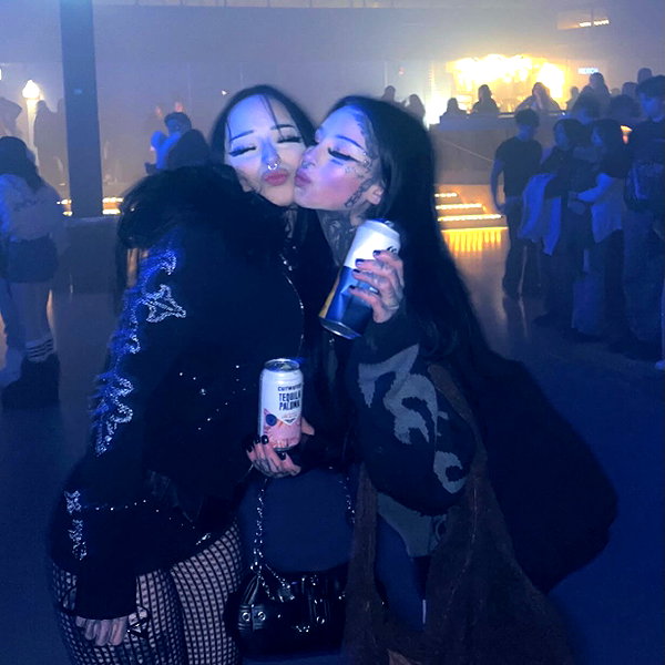 taxevasionkoala instagram image archive image