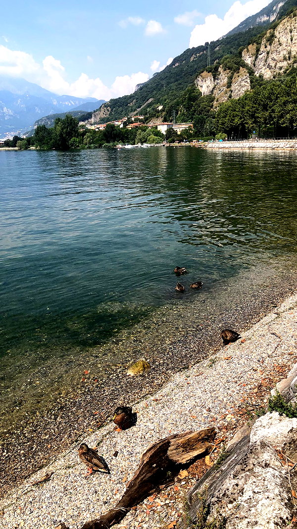 rott3nbambi instagram image archive image