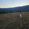 muze Altpins Profile Picture