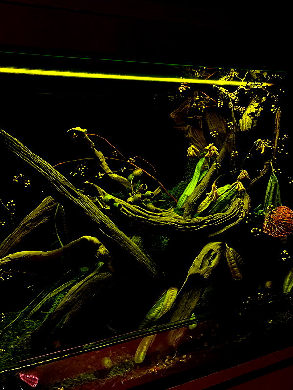 kteaworld kteaworld archive image