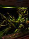 kteaworld Altpins Profile Picture