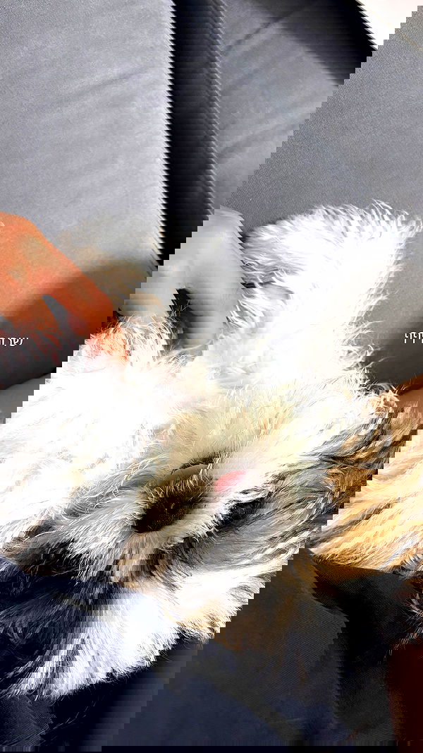 noammalka___ noammalka___ archive image