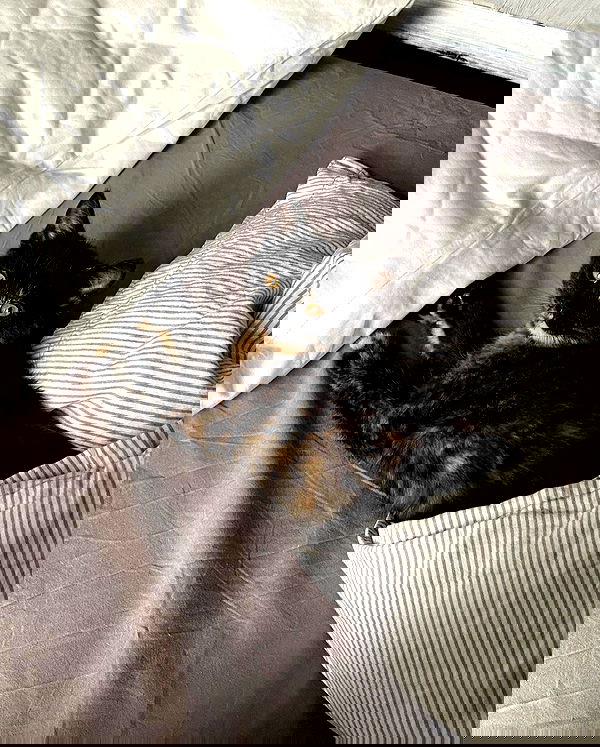 kkulakovaa image ~ Altpins