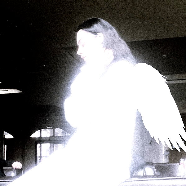 amanitalis instagram image archive image