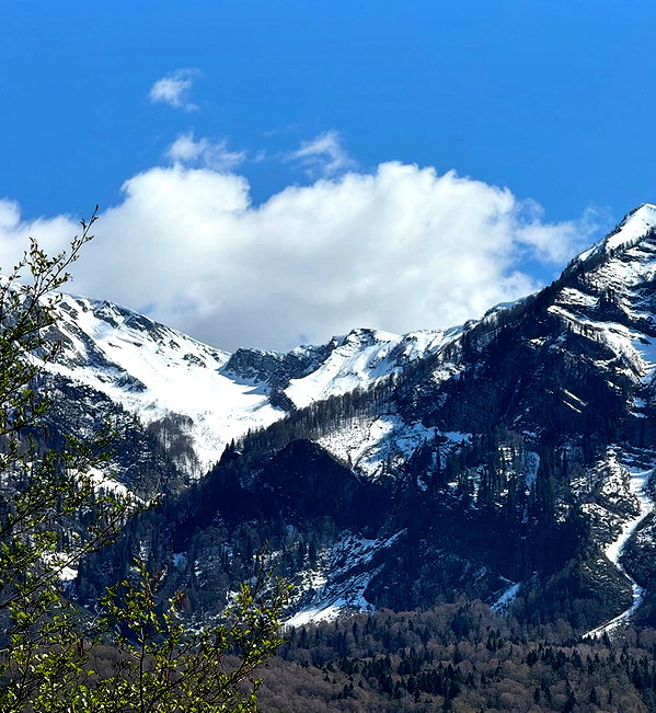 amatveyko instagram image archive image