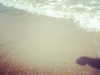 prettys1ckkkk Altpins Profile Picture
