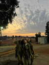 agam__mallka Altpins Profile Picture