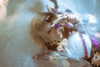 muze Altpins Profile Picture