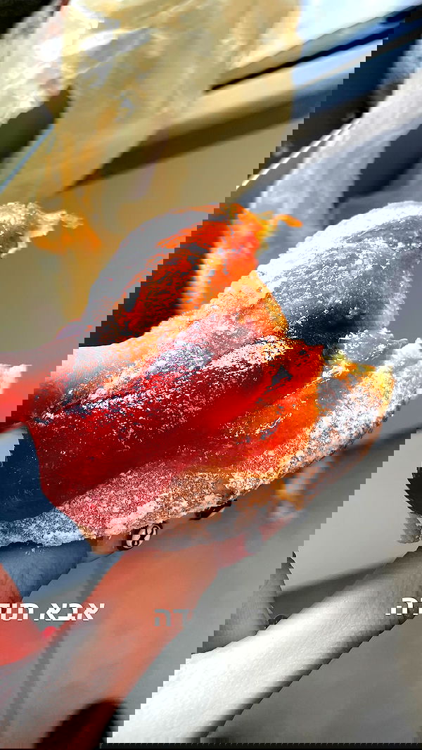 efrat_elmalich efrat_elmalich archive image