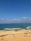 alma_ck_ Altpins Profile Picture
