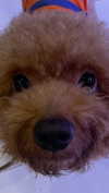kteaworld Altpins Profile Picture