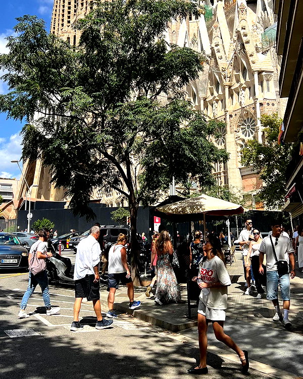 michal_cohen017 instagram image archive image